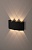 Светильник WL12 BK ЭРА  Декоротивная подсветка светодиодная ЭРА 6*1Вт IP 54 черный (20/800)