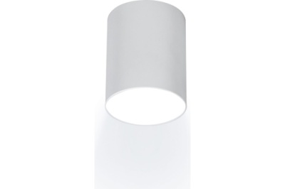 Светильник накладной светодиодный, Arton, цилиндр, 80х100мм, 12Вт, 960Лм, 4200К, алюминий, белый, 59